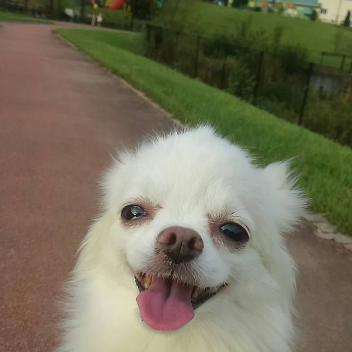 5bfbf5f2 91cf 418e a303 d637dbfb28c6