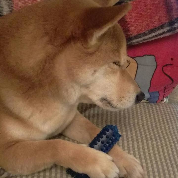 5bfbf75b c5a2 44e6 88c2 bd03a510202d