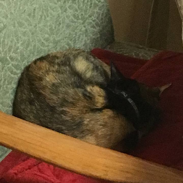 5bfc00d9 a638 48f9 8b3c 5918c5302170