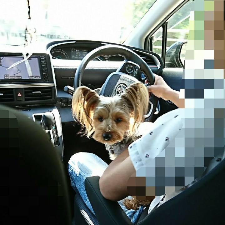 5bfc2bb5 ee02 4100 b57f 4d3ddd3d5f84