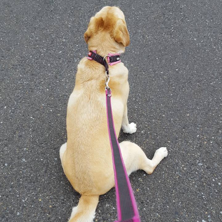 5bfc3b5c 72ca 44e2 a18f a16d5b69a393