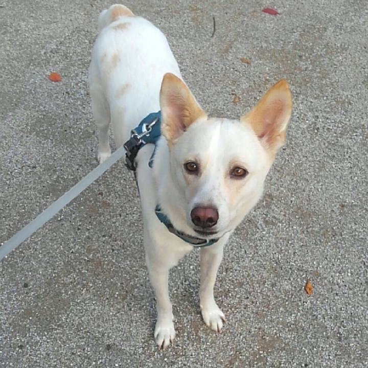 5bfcb393 a1fc 48d2 ae20 26ade9735ea3