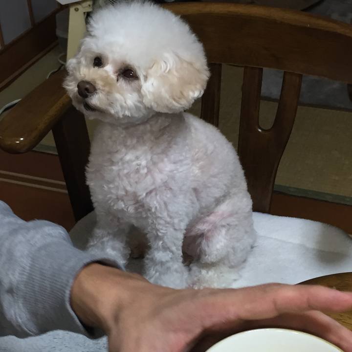 5bfd0931 abd2 496f b6a4 04fe7e1bf88f