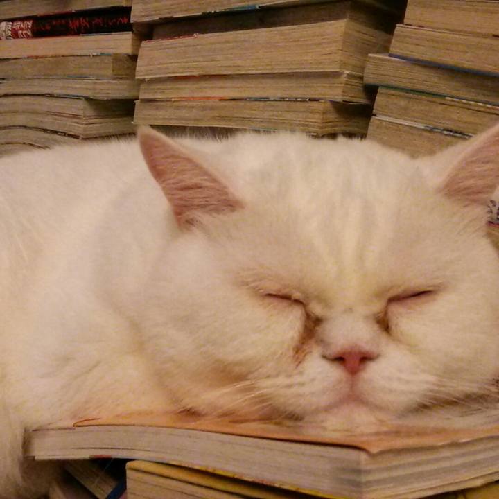 5bfd1347 7a3b 4fd2 81c1 e8c948b80996