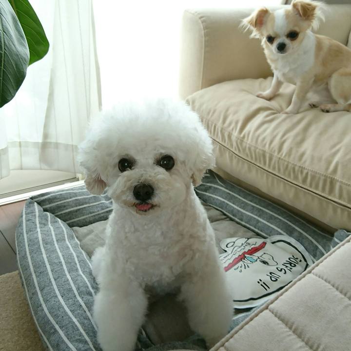 5bfd3364 c3a4 41c1 b50a a7187ee247d1