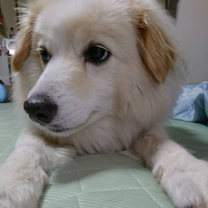 5bfd76d9 6a19 474b a465 f845f0bd0542