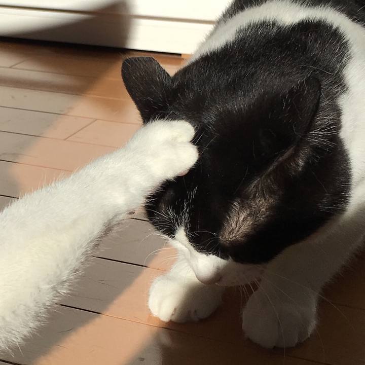 5bfdfe66 e2f8 483c ba56 7c58d11f3fa3