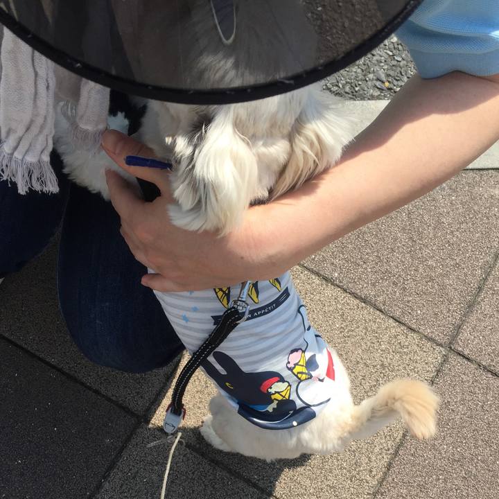 5bfe0557 606b 4a89 8fc5 81041692dfad