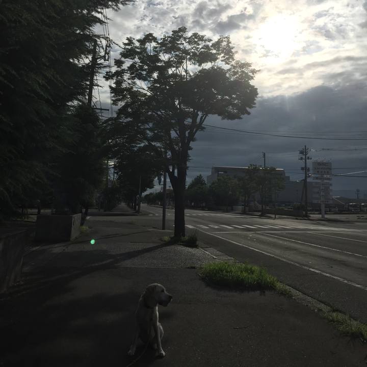 5bfe1140 35bd 4b79 81c2 cab86b3e159f