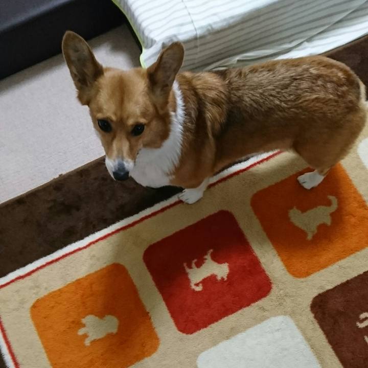 5bfea346 eb39 4ac0 af98 10ca6a72d72a