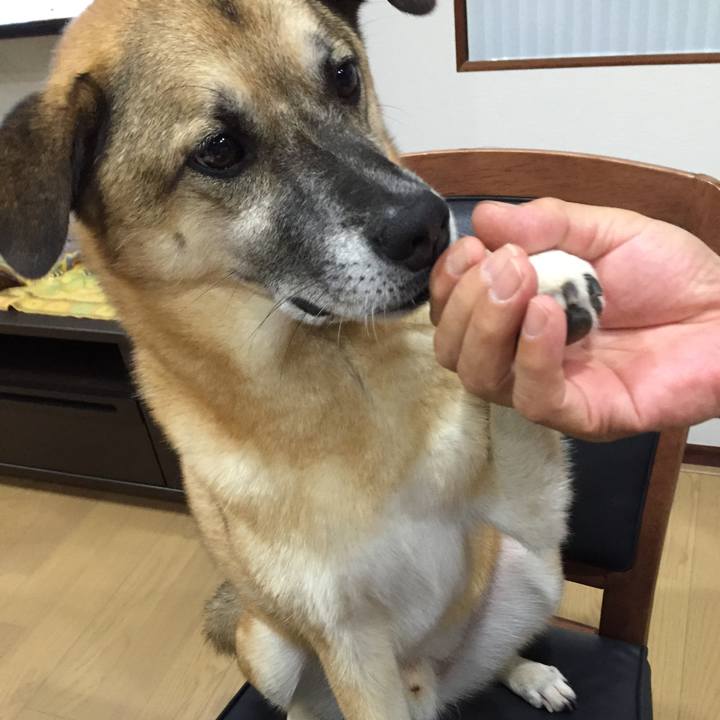 5bff53d8 f358 4e2d b768 ec6e409b88b2