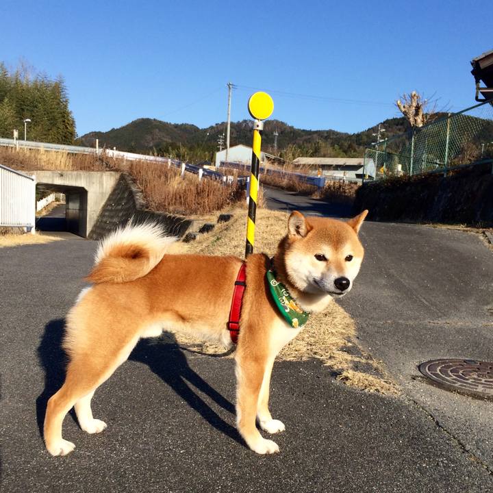 5bff7036 6a3e 408d 81f4 3a7ea45bc31a