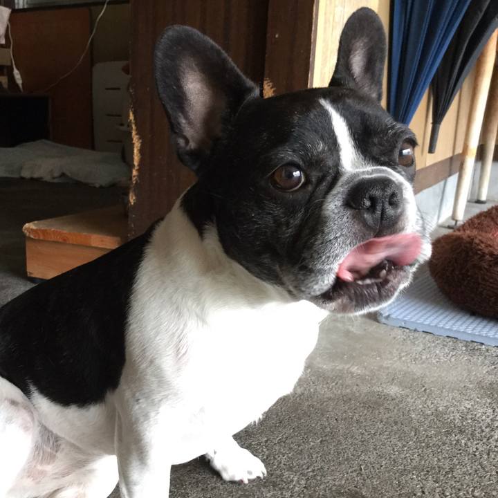 5bffc020 8f92 46ec 841a 038140109e3d