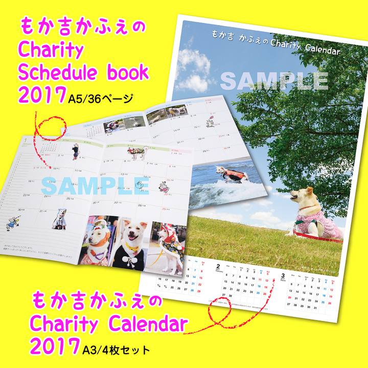 5c004cbd cf96 40f5 ae55 7437936d2ec3