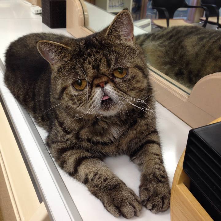 5c00f2cc b5a2 4214 b937 9fcb1424143e