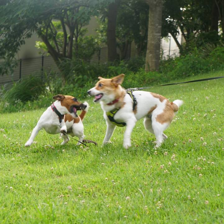 5c016df2 ee02 455f b937 9a7d2d01c82e