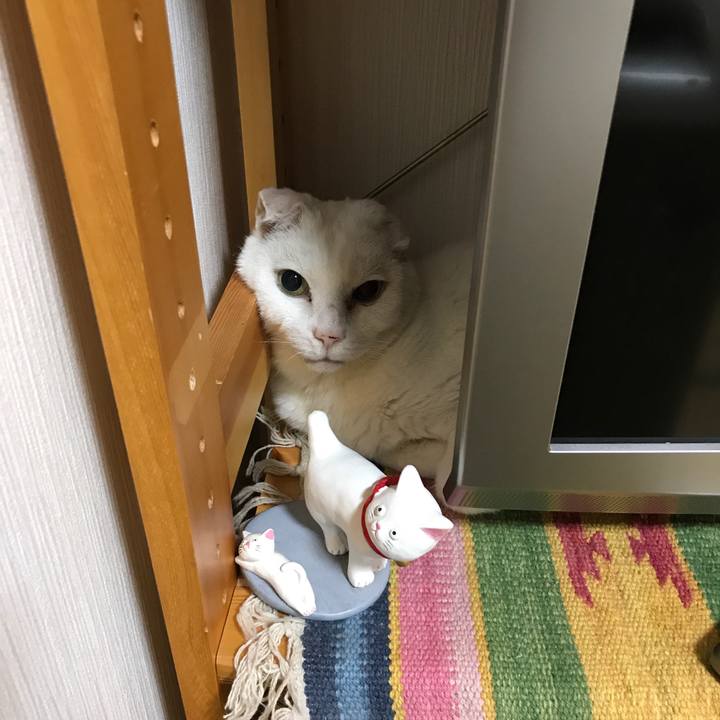 5c019f51 0cda 4be7 9061 45d1d68eb07a