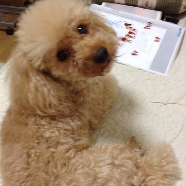 5c01e321 8b8b 4b7e bfd7 367bf7872c9a