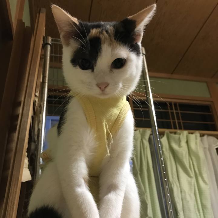 5c01f684 b012 42db 9194 3d081ef7294b