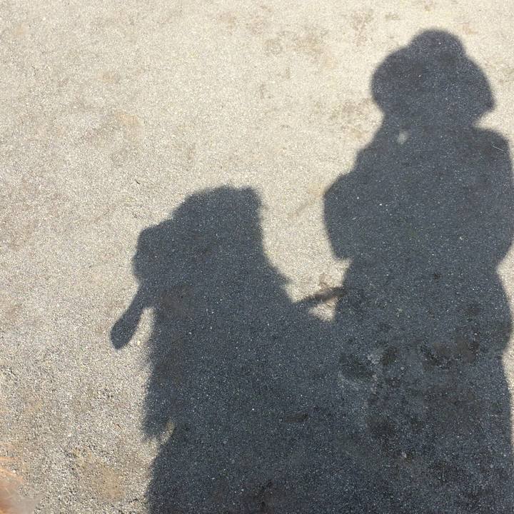 5c024a49 24f3 4c8c ad6f a319eed9c891