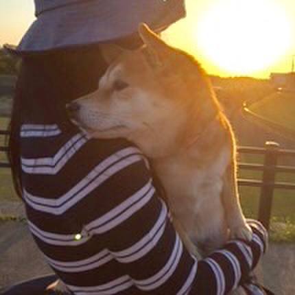 5c0320f7 67fc 455b af94 aa613b4ac17a