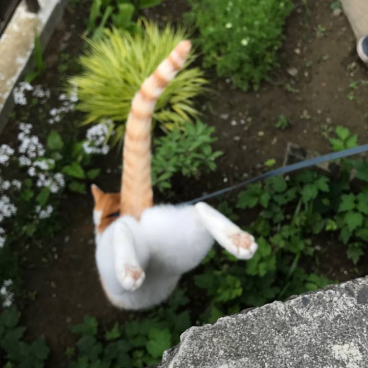 5c037ee5 f212 4835 b414 2940dd52692d