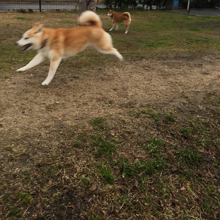 5c03a2b6 08a3 44c4 84e4 2b976b056245