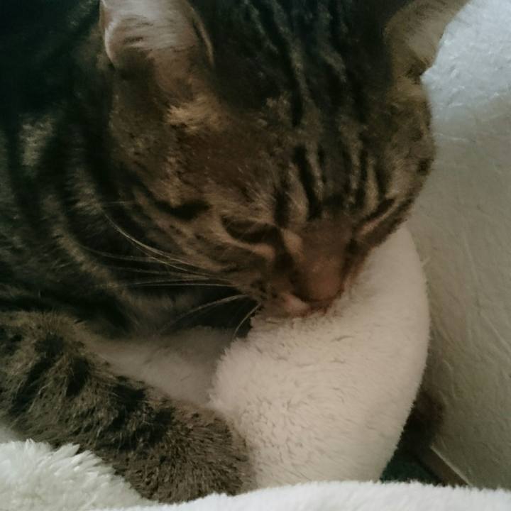 5c03b760 9633 4cfb 86f3 311f824f7b05