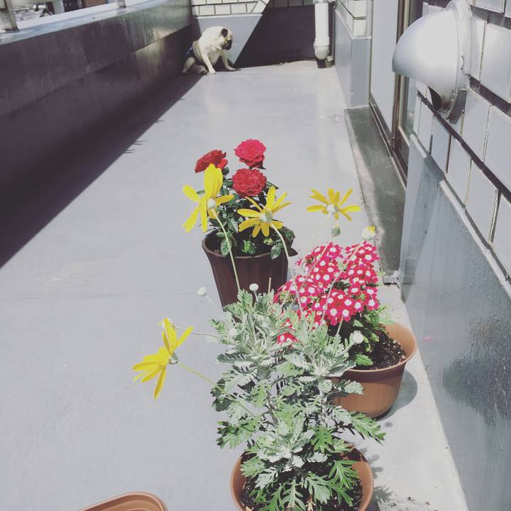 5c03efd5 788e 4b48 aeac 968429a1fabd