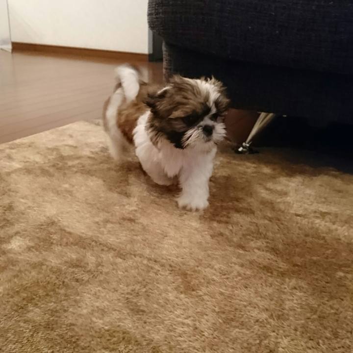 5c041f3e f945 479d 8060 34f5e5eb7587