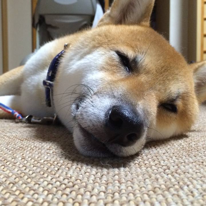 5c043cac c10a 473f 83af 9df5a39a5b85