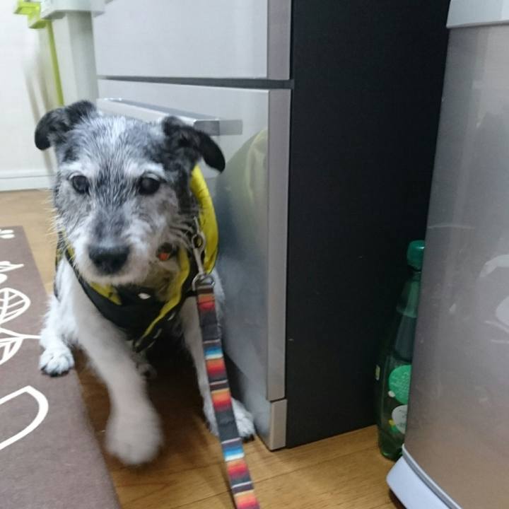 5c0452d2 1ffe 4c3f abba e7ec042ed2b7