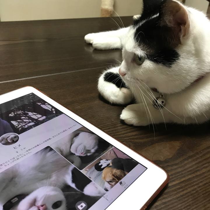 5c0462d0 a877 4795 a453 09810f210b2a