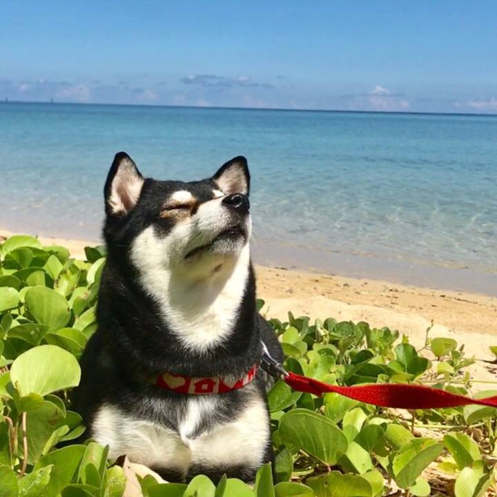 5c04bbdc ec41 445e b5ba bb1d8ceacf37