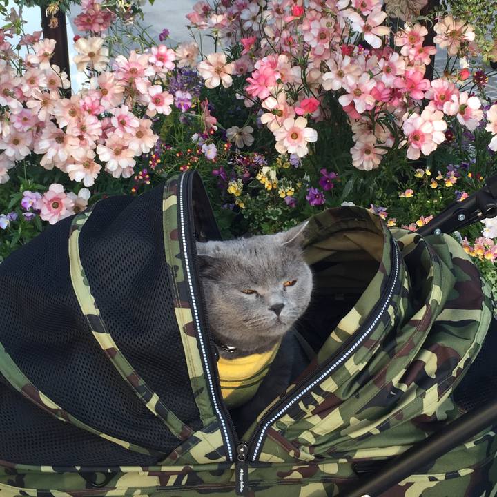 5c0605d4 ebe0 49c4 be0f 5d8b3652b979