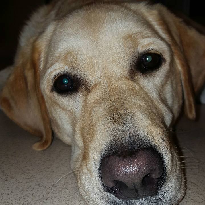 5c079e08 db75 42e1 9494 1979959580e8