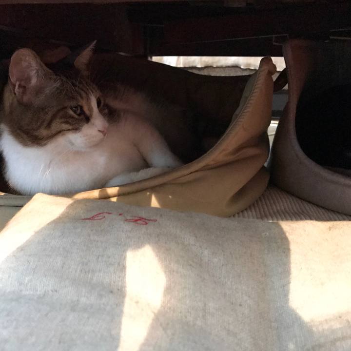 5c07e5f4 4d6f 497c 820a ad270121b7d3