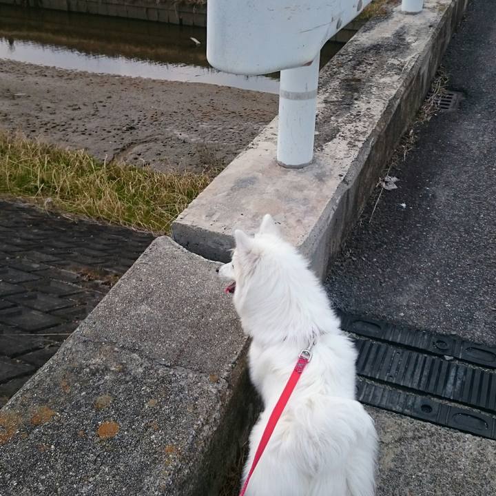 5c085f8c 3be6 402d 9389 cecf083b7790