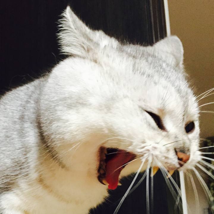 5c086472 c0e9 41b9 9e9f d12be5850869