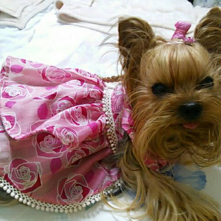 5c08801f 2e7a 49ed bcc5 e0b82ea85943