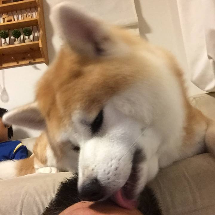 5c08d61e 9526 41f9 852b 963c670b0287