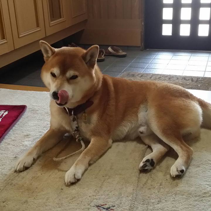 5c09fe8c 87c5 49d8 b466 913343a55b90