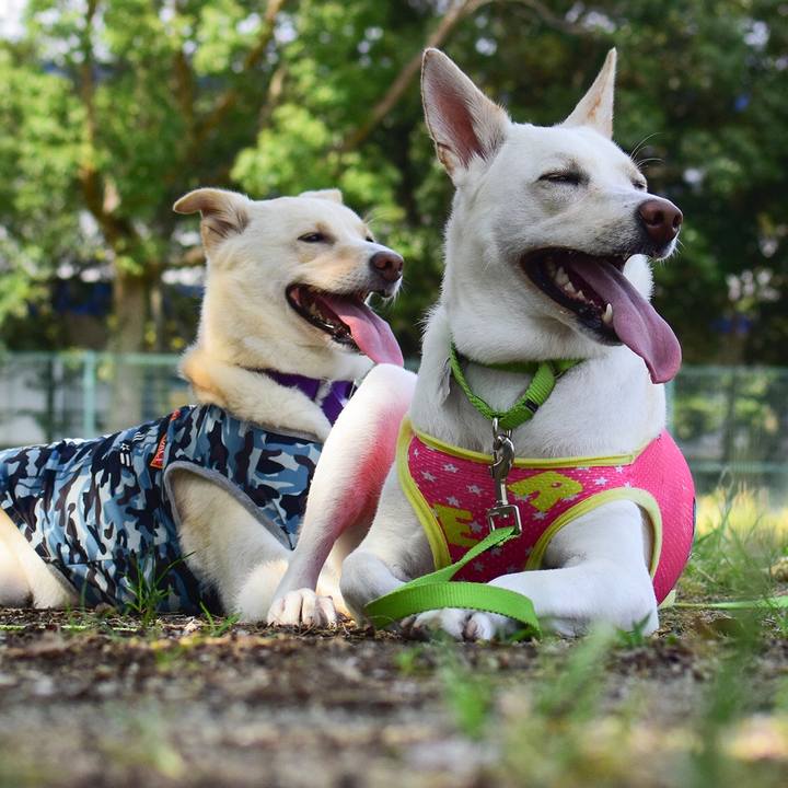 5c0a3775 b8b7 45fb b2c1 d57a45759b36