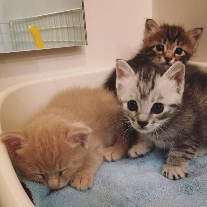 5c0a4d09 b26e 4bb1 a03a e9362ca1977c