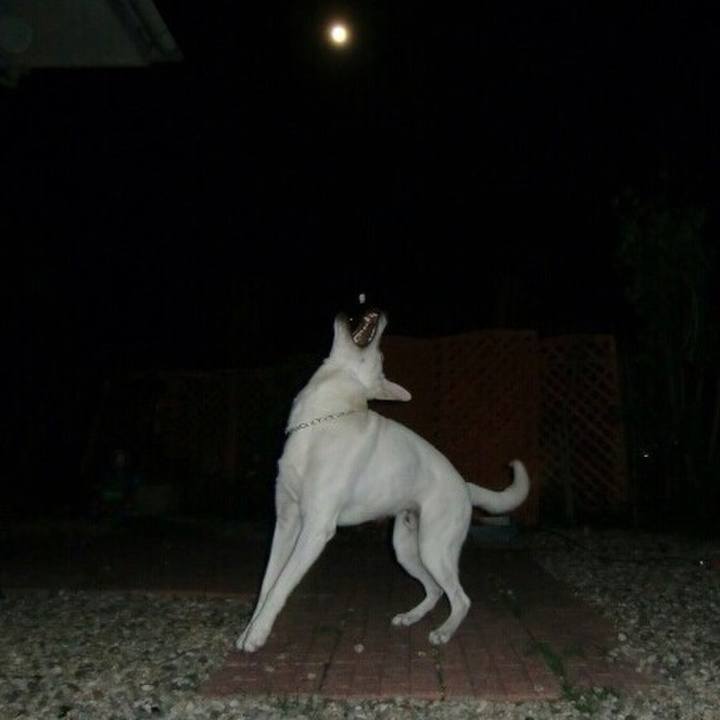 5c0aba4a d2c2 4167 a42f 8f36dacfb7f7