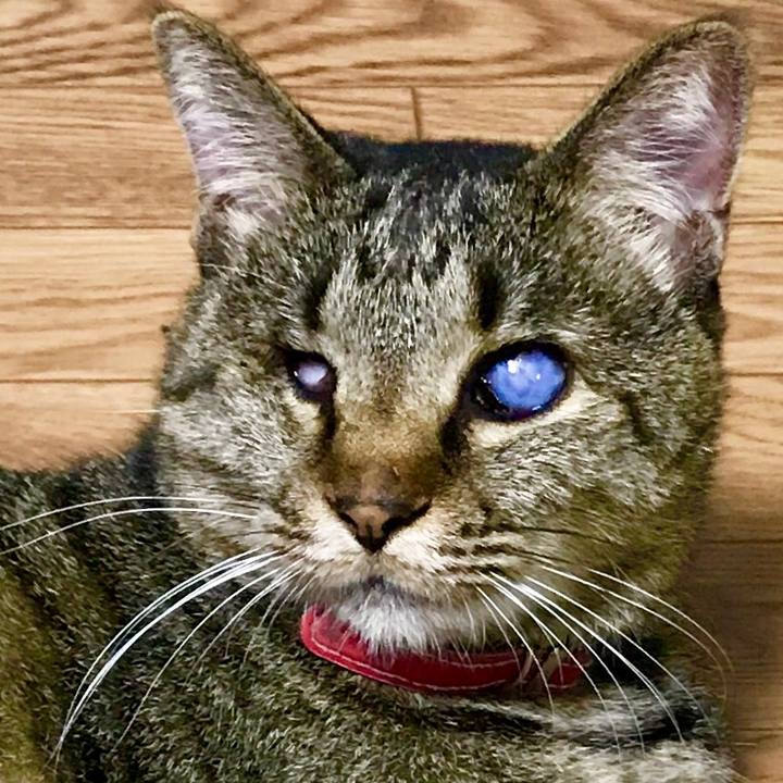 5c0bfdc9 b5dc 42c7 a82f d7337d61a335