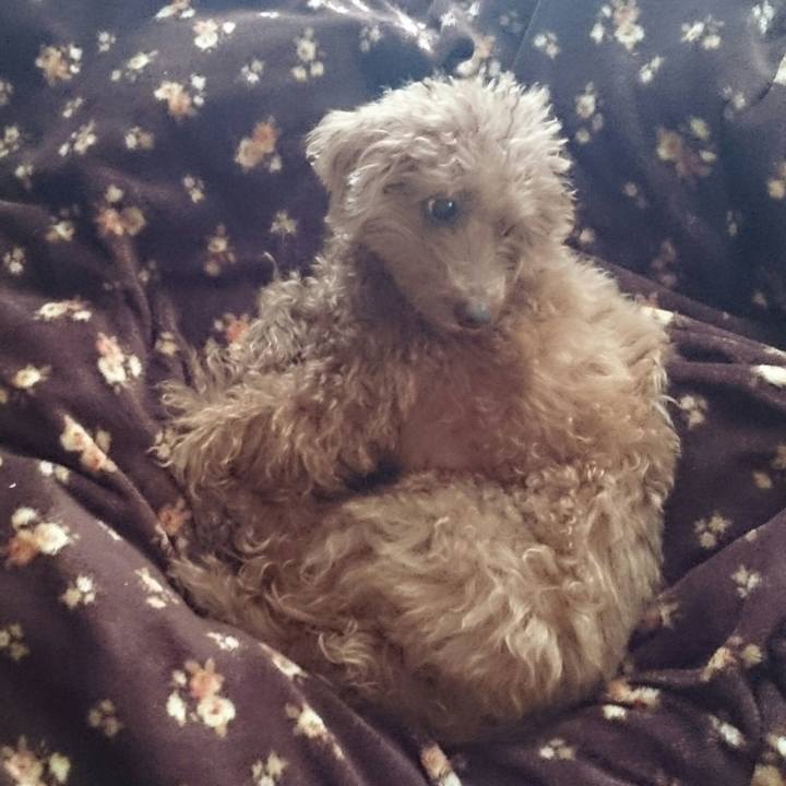 5c0ca7f3 b926 433d b4b2 026395ce7523