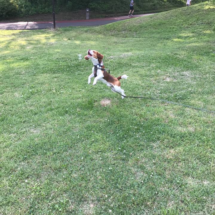 5c0cc2d6 e107 4c7b b54f 57a1bd29e786