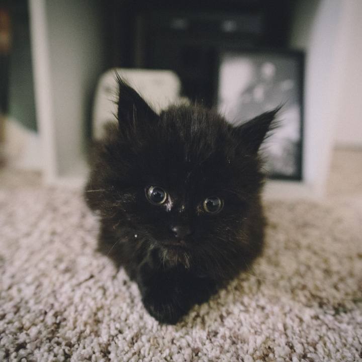 5c0d44cc ac99 47c1 93fc 1248c4af2adb