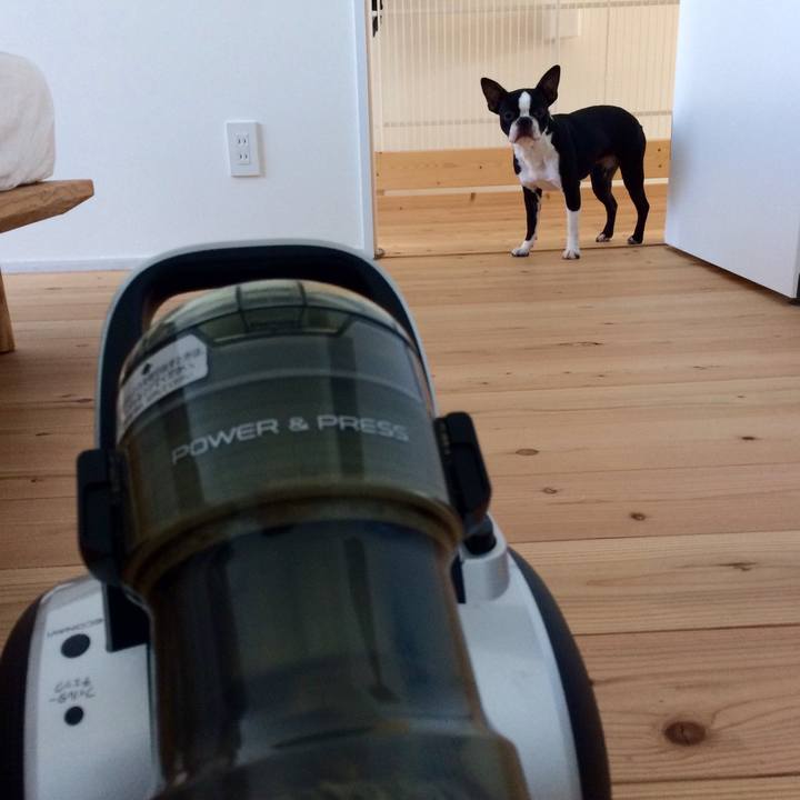 5c0da95c 3cd3 44dd 86e6 de04bd590f47